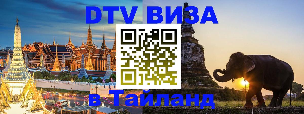 Оформление DTV визы под ключ: стоимость и тарифы, только загранпаспорт - 18.11.2025 